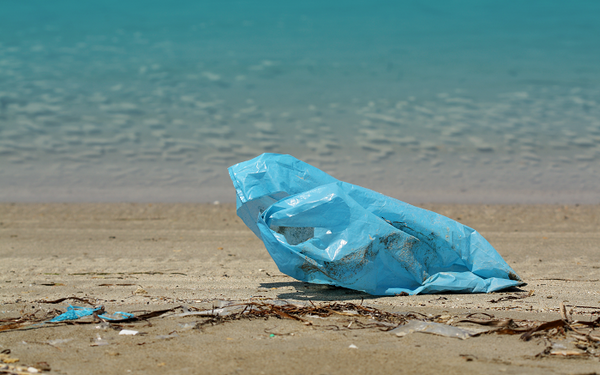 De geschiedenis van plastic zakken vanaf de geboorte tot het verbod 2