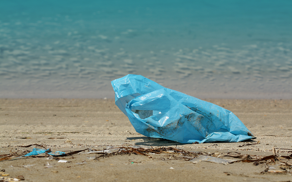 Historien om plastpåsar från födsel till förbud 2