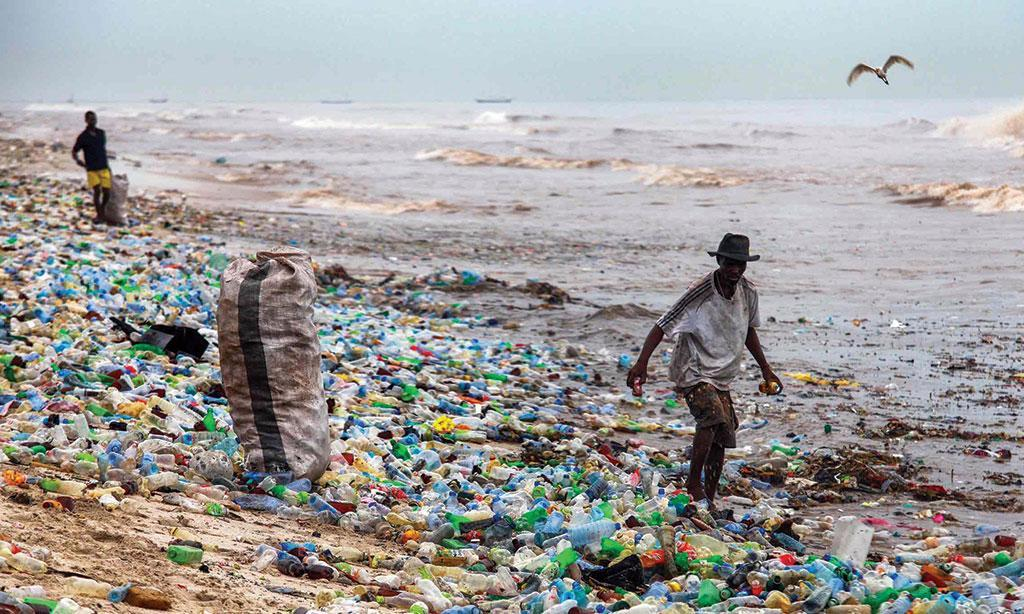 Nhoroondo Yemabhegi ePlastiki Kubva Pakuzvarwa Kusvika Kurambidzwa 3