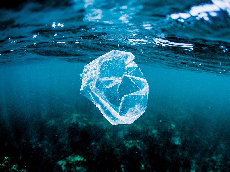 Mwelekeo wa Tonchant® wa maendeleo-BIODEGRADABLE