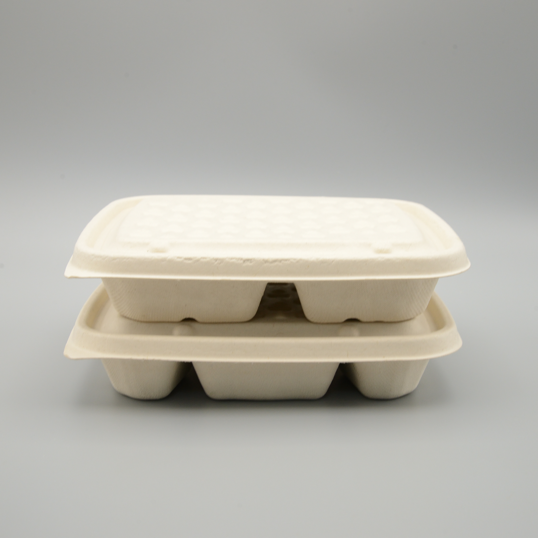 Wholesale Disposable Sugarcane Bagasse 3 Compartments Biodegradable ...